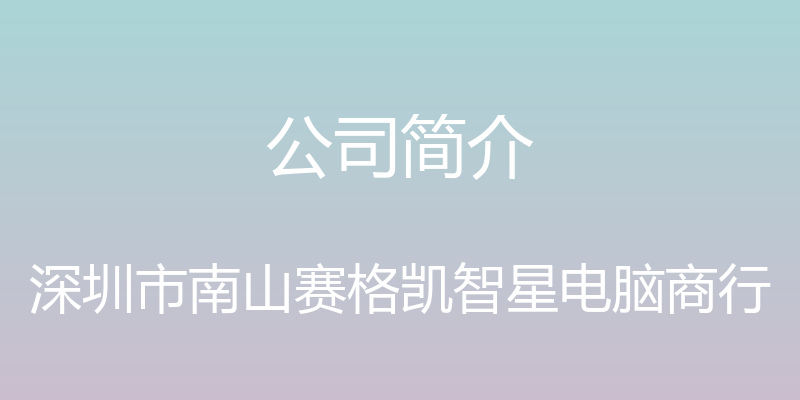 公司简介 - 深圳市南山赛格凯智星电脑商行